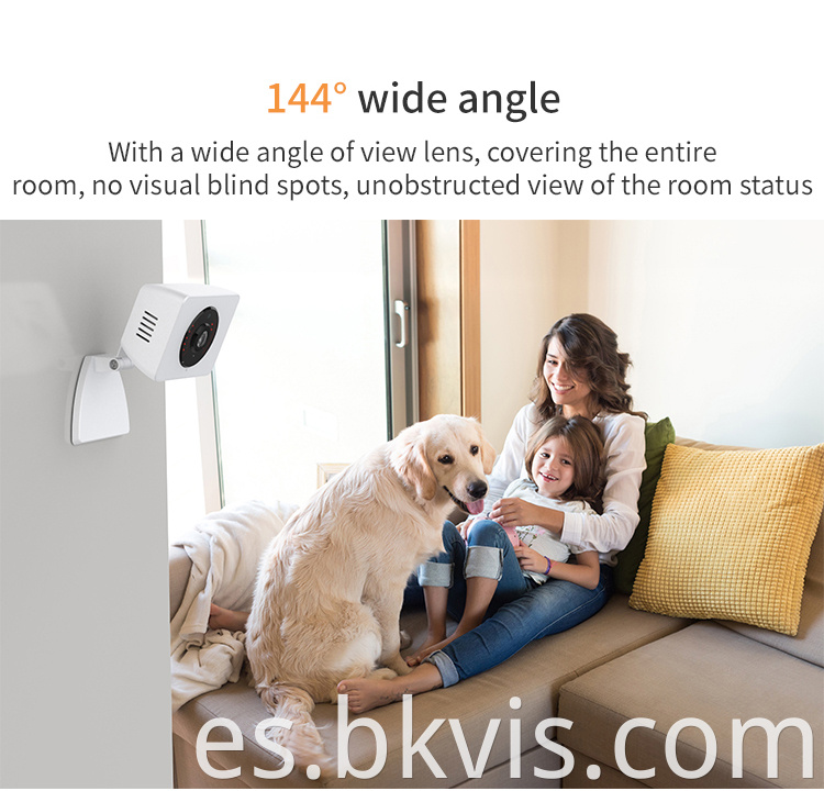 Surveillance Baby Detection Night Vision CCTV IP Camera